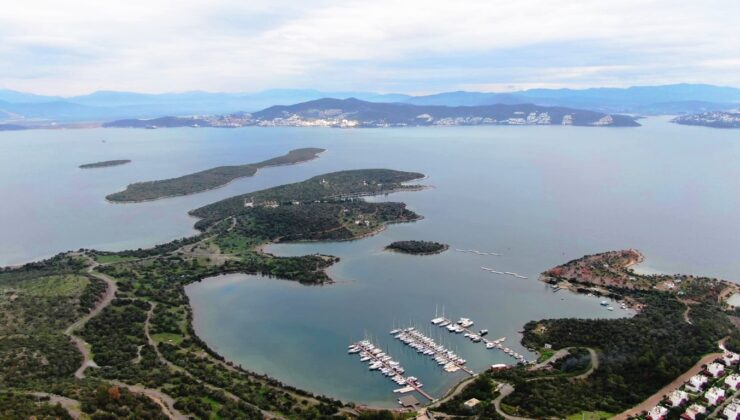 Fenerbahçe’nin Dev Projesine Altyapı ve Çevre Uyarısı