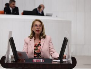 Derici’den TBMM’ye Orman Yangınları İçin Komisyon Çağrısı