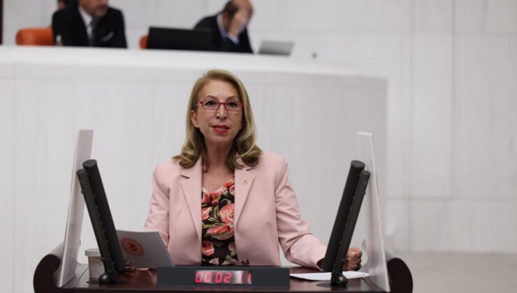 Derici’den TBMM’ye Orman Yangınları İçin Komisyon Çağrısı