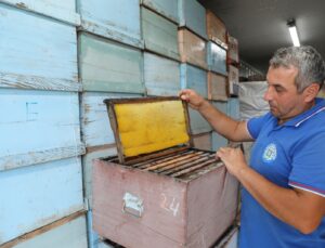 236 BİN PETEK ŞOKLANDI